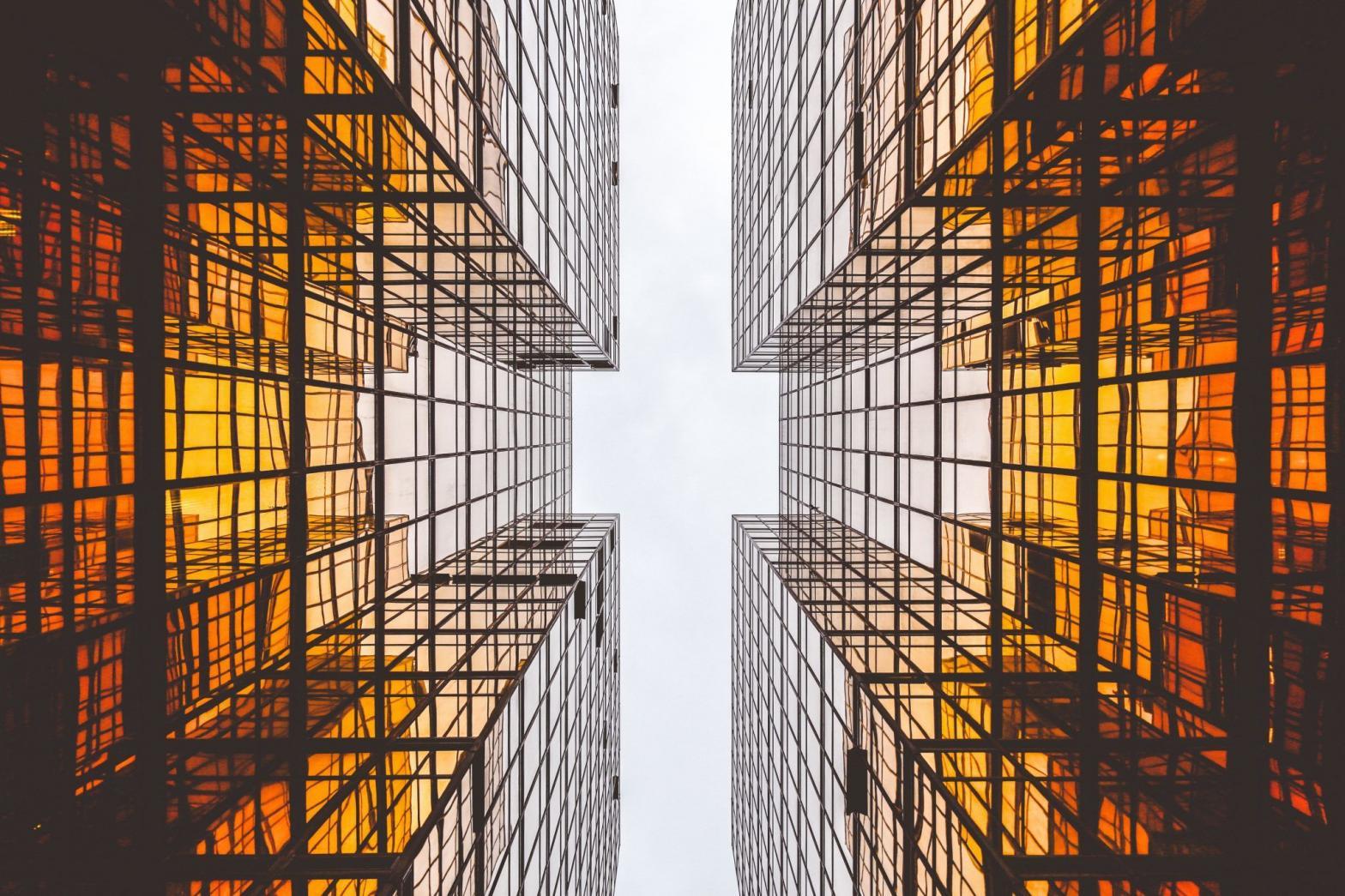 Why Early Adopters of Social Platforms Win the Internet